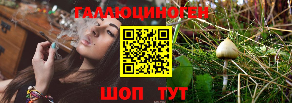 Галлюциногенные грибы Magic Shrooms  Вход с VPN  закладка  Малоярославец  Галлюциногенные грибы Psilocybe 